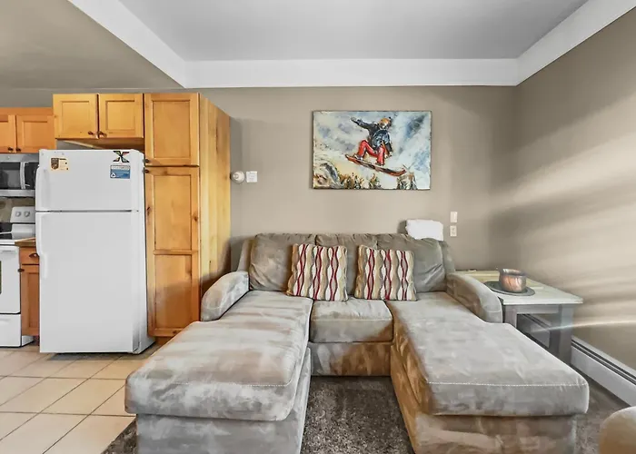 Tl212 Telemark Apartment *